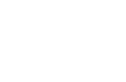 Sassy Luxury Hand Bags